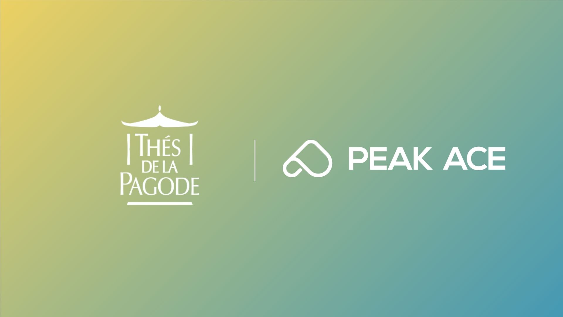 Thés de la Pagode :  désamorcer une crise SEO grâce à un plan d’action défensif